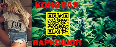 гашик Бузулук