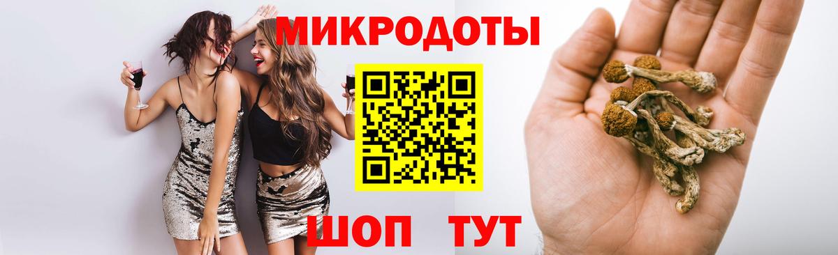 Галлюциногенные грибы Psilocybine cubensis  Псилоцибиновые грибы мицелий  Ржев  Вход с VPN 
